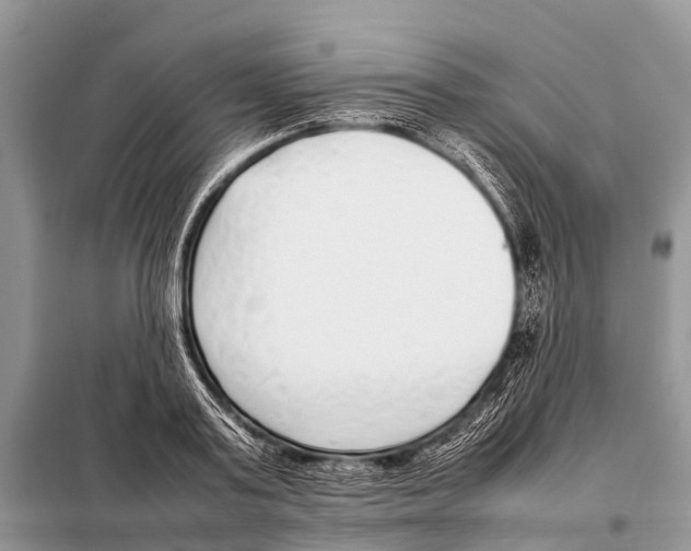 X0000098100795200805021108