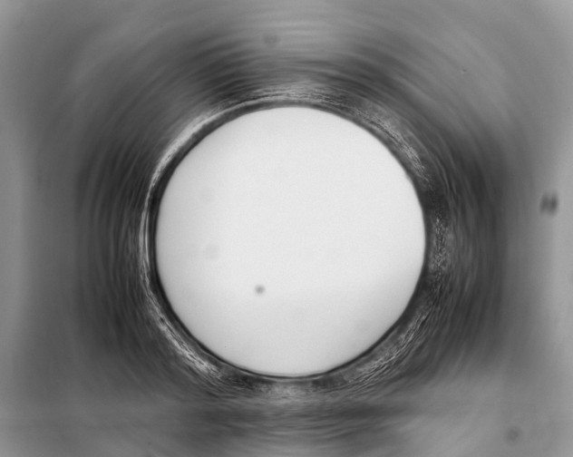 X0000098100796200805021108