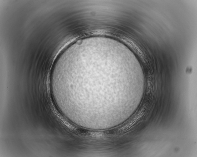 X0000098100798200805021108