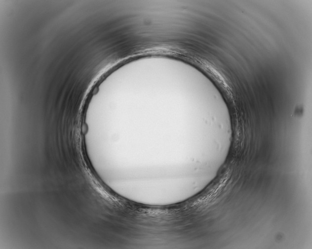 X0000098100800200805021108