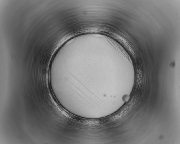 X0000098100802200805021108