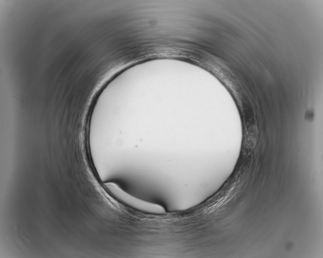 X0000098100803200805021108