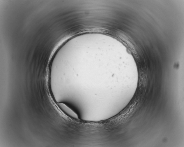 X0000098100804200805021108