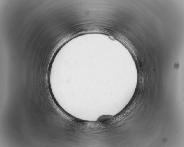 X0000098100805200805021108
