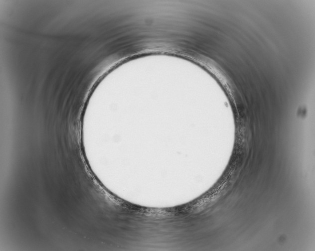 X0000098100807200805021108