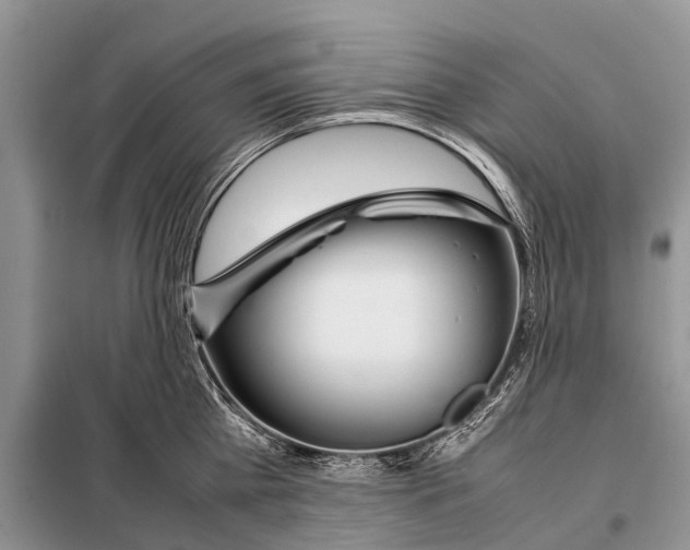 X0000098100809200805021108