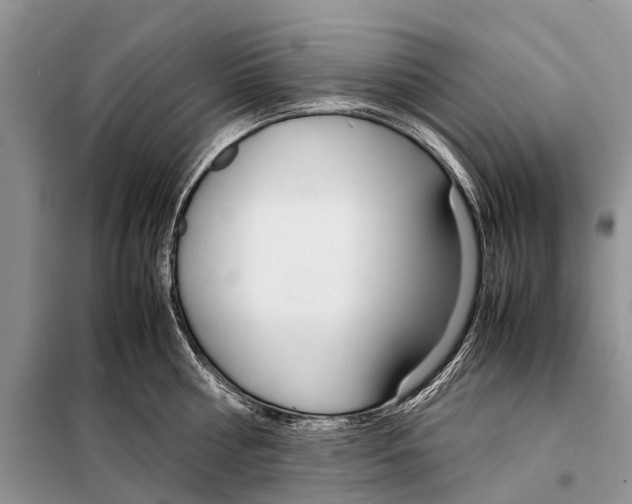 X0000098100810200805021108