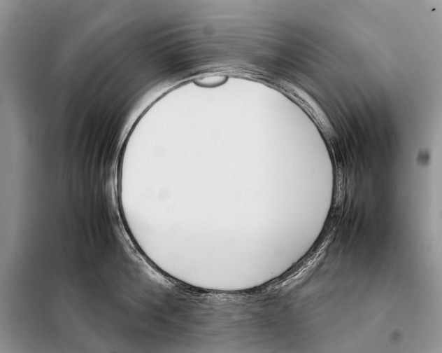 X0000098100812200805021108