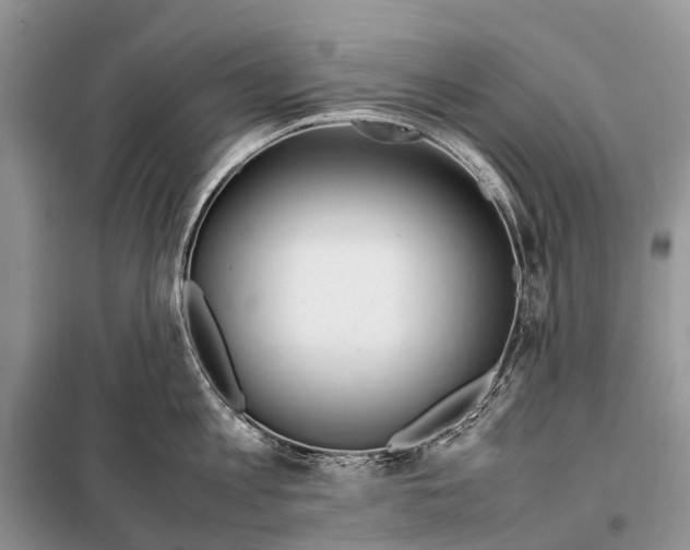 X0000098100813200805021108