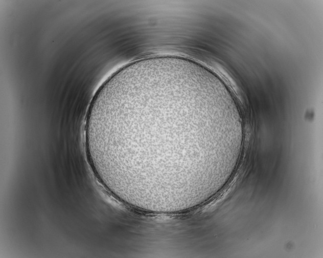 X0000098100814200805021108