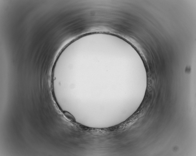 X0000098100815200805021108