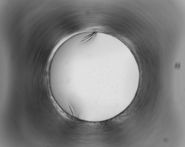 X0000098100816200805021108