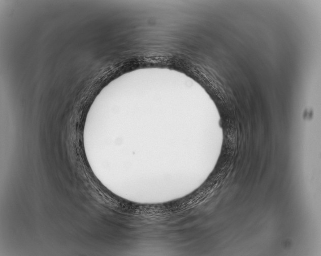 X0000098100817200805021107