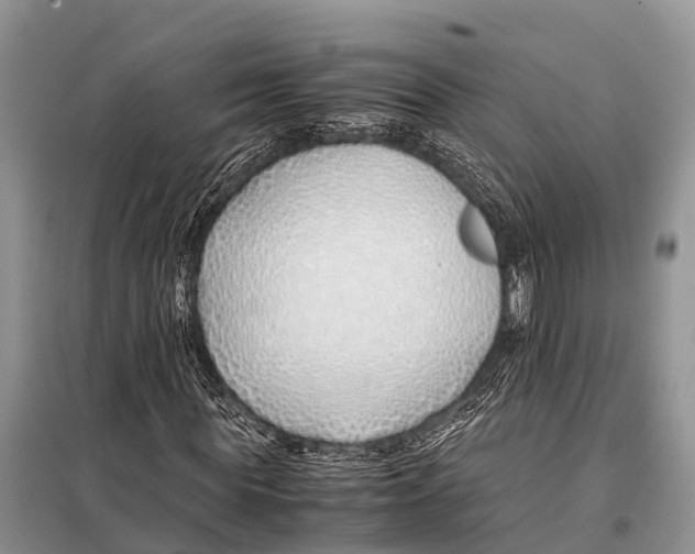 X0000098100819200805021107
