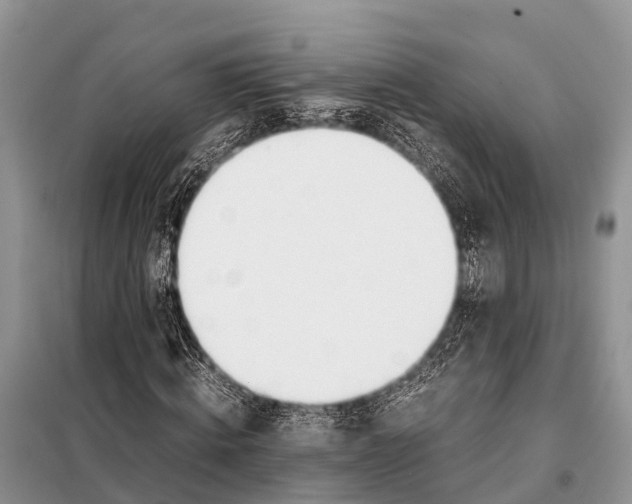X0000098100820200805021107