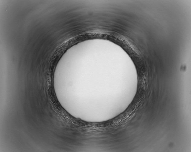 X0000098100821200805021107