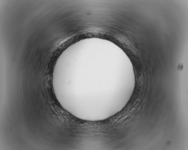 X0000098100822200805021107