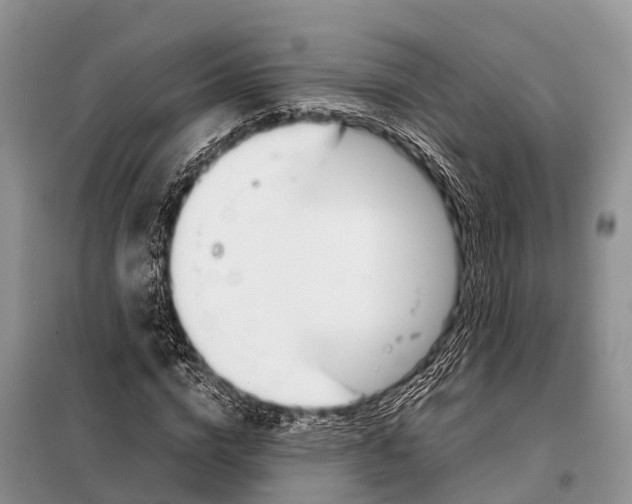 X0000098100824200805021107