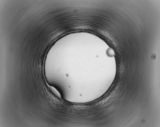 X0000098100825200805021107