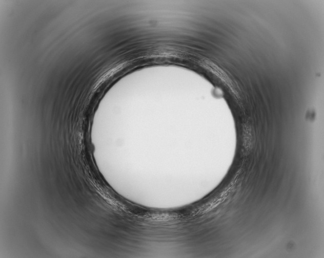 X0000098100826200805021107