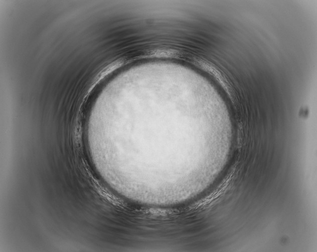 X0000098100827200805021107