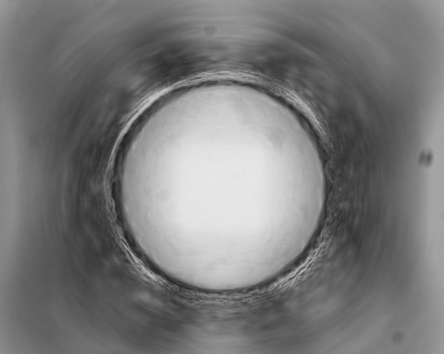 X0000098100828200805021107