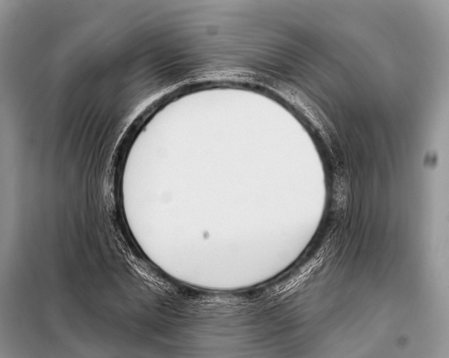 X0000098100830200805021107