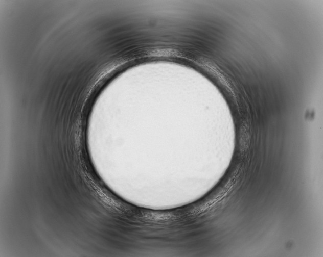 X0000098100831200805021107