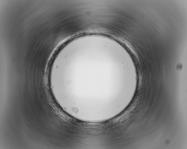 X0000098100832200805021107