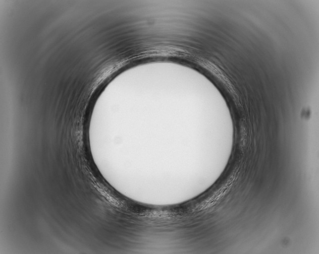 X0000098100834200805021107