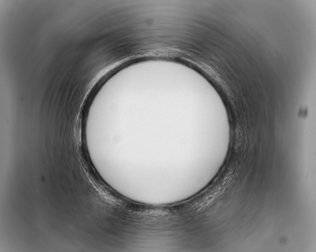 X0000098100838200805021107