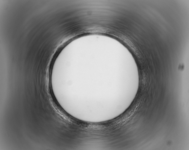 X0000098100840200805021107