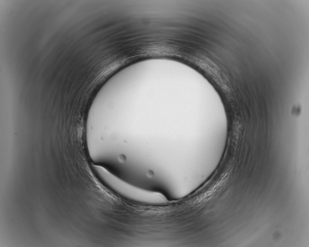X0000098100841200805021107