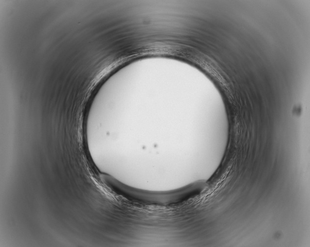 X0000098100842200805021107