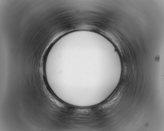 X0000098100843200805021107