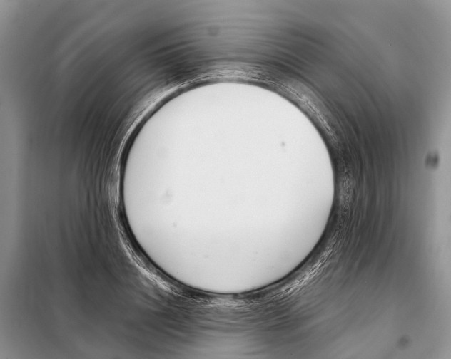 X0000098100844200805021107