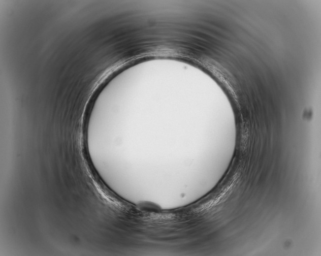 X0000098100845200805021107