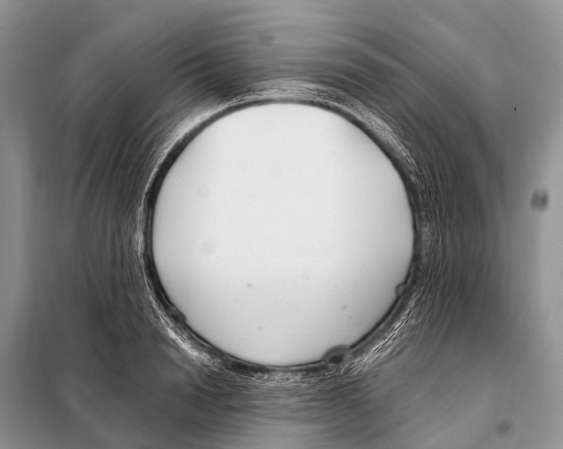 X0000098100846200805021107
