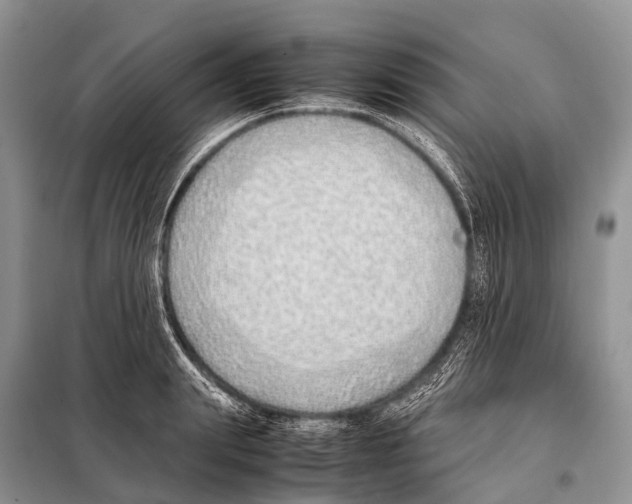 X0000098100847200805021107