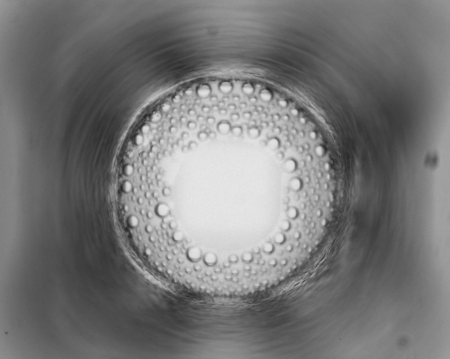 X0000098100848200805021107