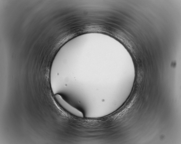 X0000098100849200805021107