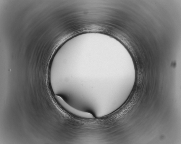 X0000098100850200805021108