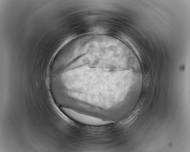 X0000098100851200805021108