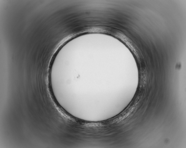 X0000098100853200805021108
