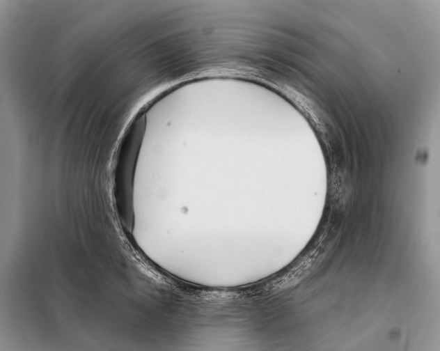 X0000098100854200805021108