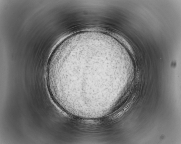 X0000098100855200805021108