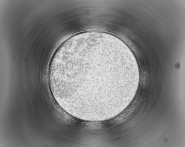 X0000098100856200805021108