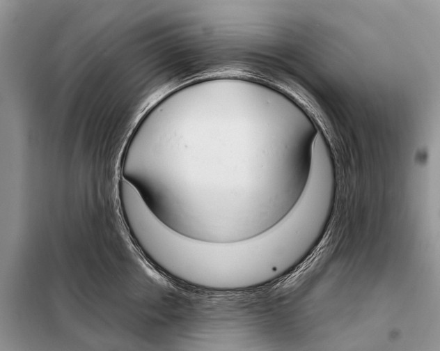 X0000098100858200805021108