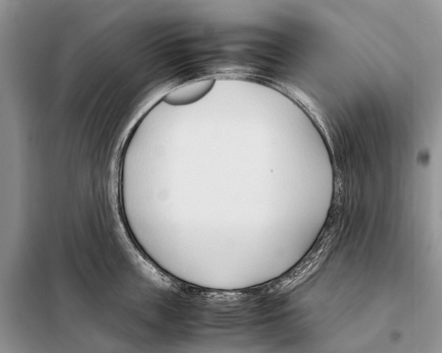 X0000098100859200805021108