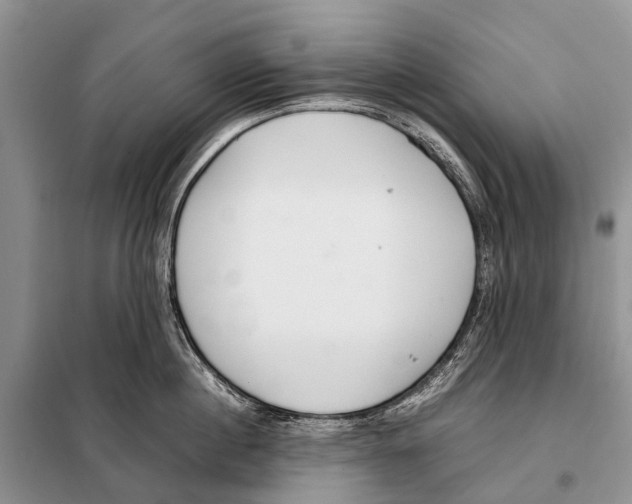 X0000098100860200805021108